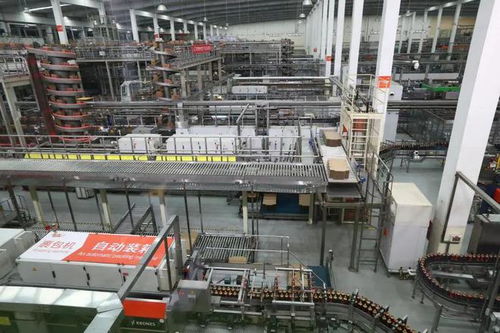 獨家優品價高何解？內地游客眼中的香港食品出口新觀察